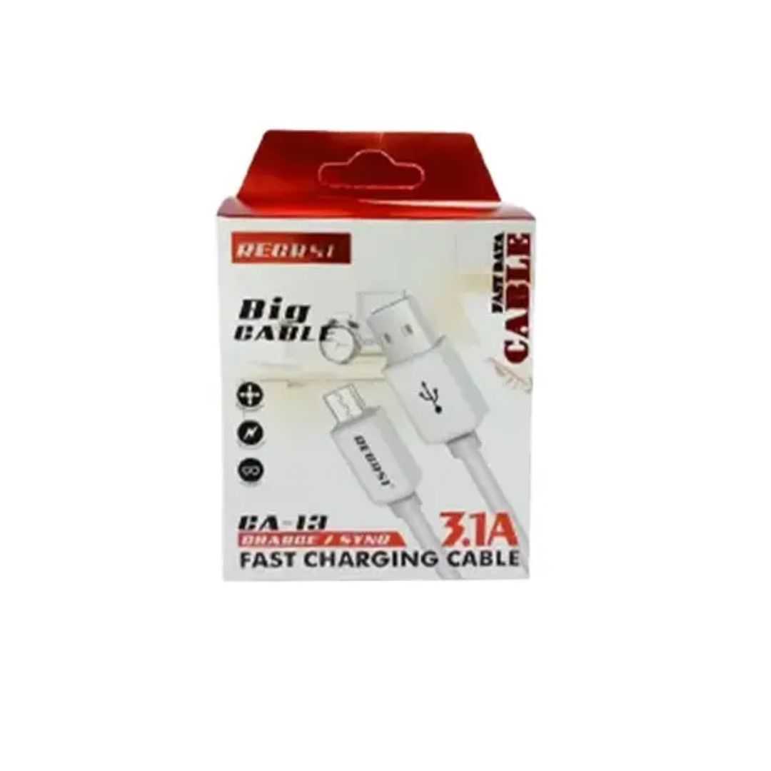 REGRSI,For,Type-C,Fast,Charging,And,Data,Cable